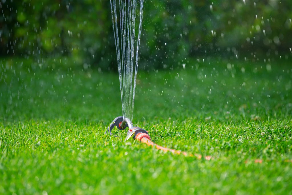 arroser le gazon  