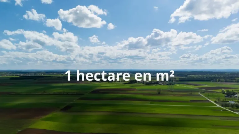 Conversion de 1 hectare en m² : comment ça marche ? 1 hectare en m²