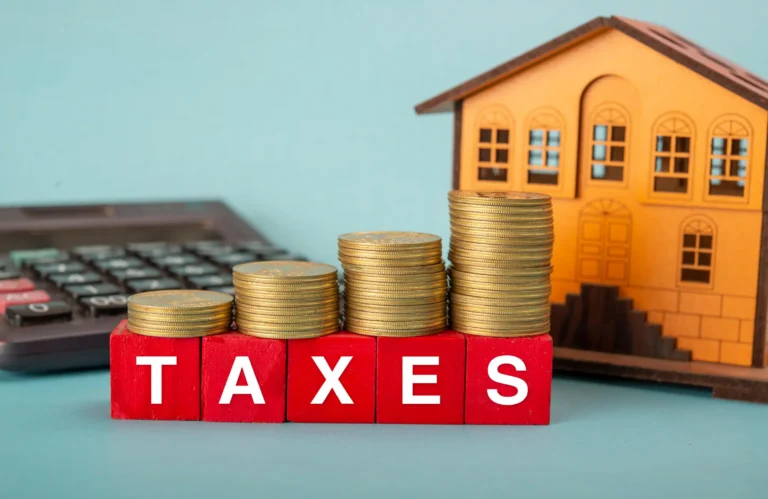 Qui paie la taxe foncière