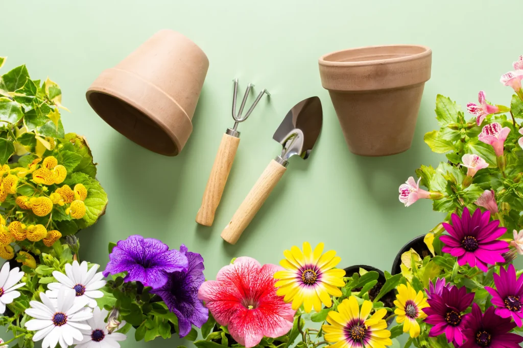 site Shockgarden.com